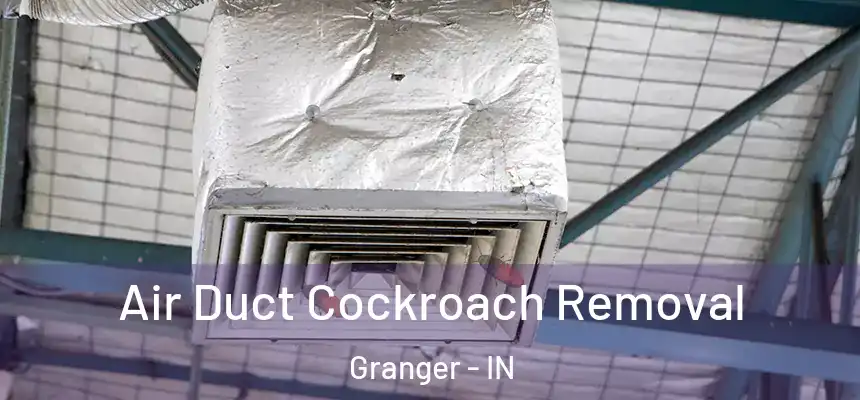  Air Duct Cockroach Removal Granger - IN