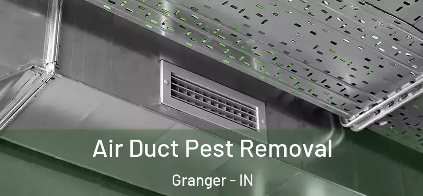 Air Duct Pest Removal Granger - IN