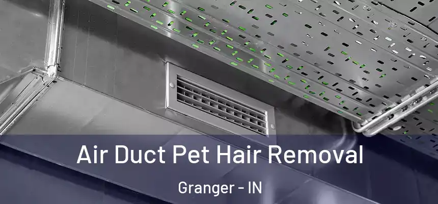 Air Duct Pet Hair Removal Granger - IN