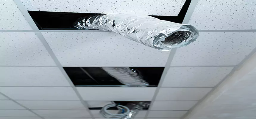 Our Air Duct Pet Hair Removal Services in Granger, IN