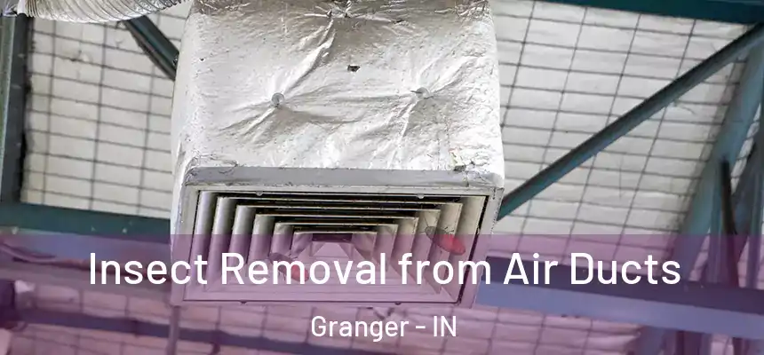 Insect Removal from Air Ducts Granger - IN