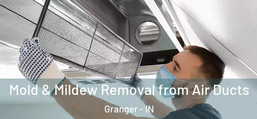  Mold & Mildew Removal from Air Ducts Granger - IN