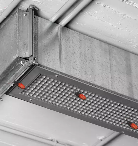 About Air Duct Cockroach Removal in Granger, IN