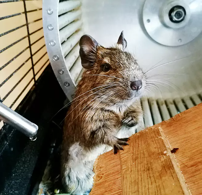 Why Homeowners & Businesses Trust Us Granger, IN?